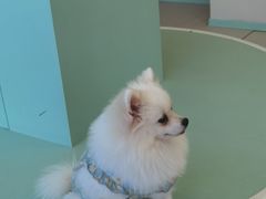 -怪兽屋·羊驼·猫咖·狗咖(俊华广场店)