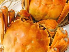 -王宝和酒家(黄浦店)