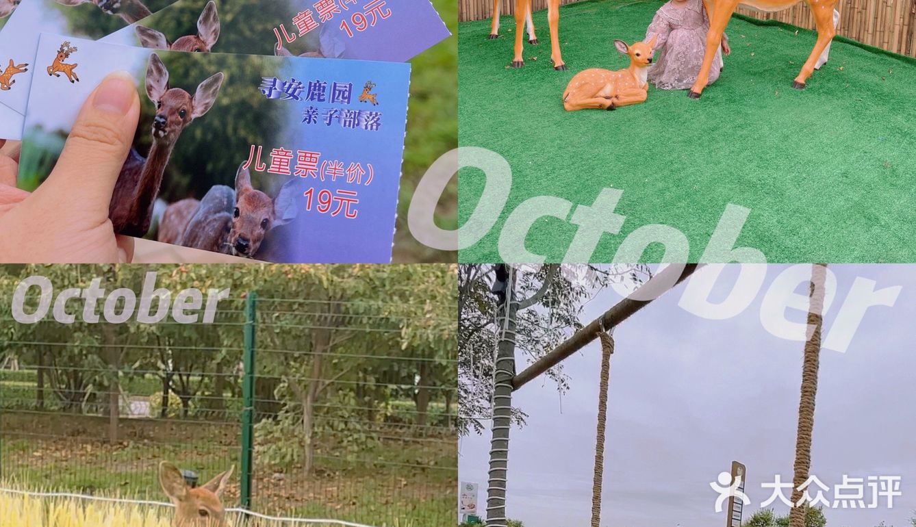 🍞十一假期🥱｜分享新的游玩好地｜散养的小鹿🍑｜🍴小鹿乱撞🥢