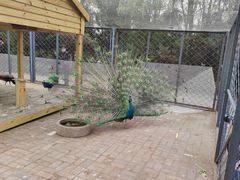 -长白岛森林公园