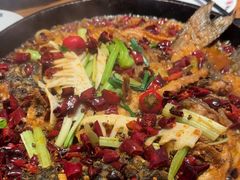 -老板恋上鱼(恒隆广场店)