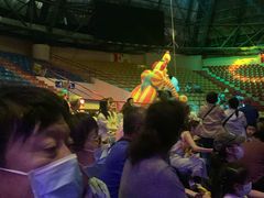 -俄罗斯国家大马戏团