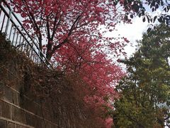 -苍山感通索道