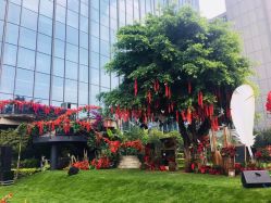 -成都世外桃源酒店-宴会厅·草坪婚礼·会议活动