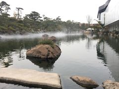 -罗红摄影艺术馆