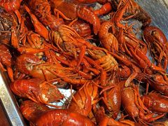 -大学城夜市大排档(凤栖路店)