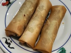 -财兜兜大黄山小馄饨