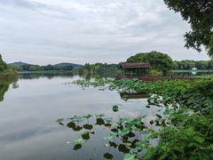 -上海市保健医疗中心