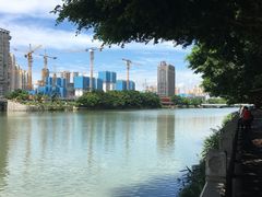 -光明港公园