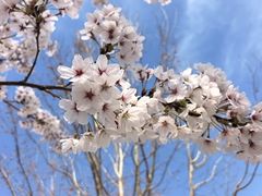 -斯普瑞斯奥特莱斯