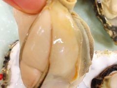 肉质鲜嫩生蚝-雅逸居海鲜小厨