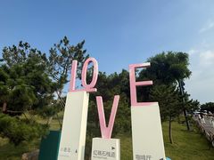 -小麦岛公园
