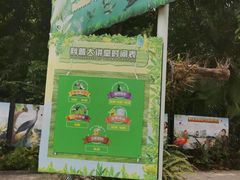 -广州长隆飞鸟乐园