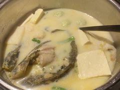 -佬麻雀·剁椒鱼头(京基KK One店)