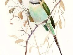 -BRAVO 赞·美艺术中心·系统美术·书法·艺考(双井校区)