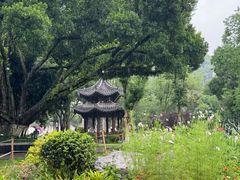 -墨池公园