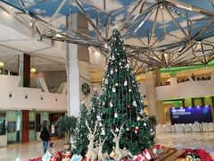 -成都世纪城假日酒店-西楼