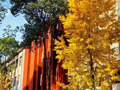 -四川大学(望江校区)