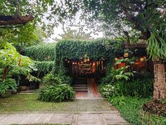 -DOI CHAANG Caffè Maesuai