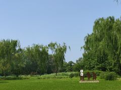-北坞公园