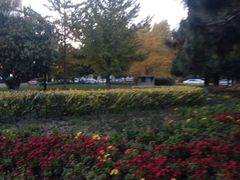 -东北大学(南湖校区)
