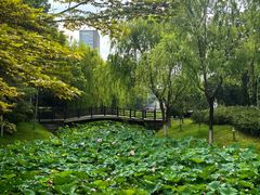 -桐乡植物园