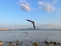 -深圳湾公园(南山区)