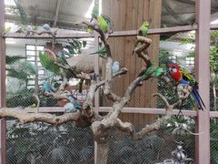 -南宫五洲植物乐园