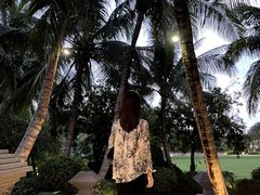 -海南清水湾莱佛士酒店