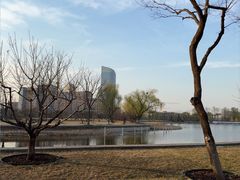 -西海子公园