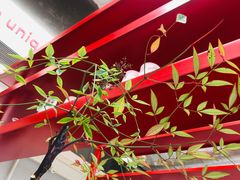 -UNIUNI(凯瑟琳广场店)