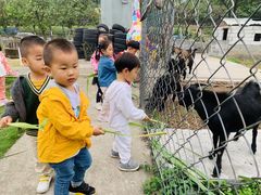 -加蒙特森林幼儿园(广州市增城区店)