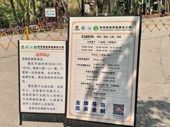 -西双版纳原始森林公园