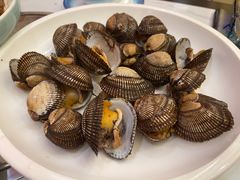 烫煮毛蚶-木柴豆腐·活海鲜·鲁菜(岚山路店)