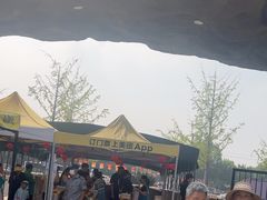 -合肥野生动物园