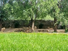 -北京野生动物园