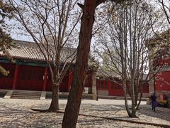 -大钟寺古钟博物馆