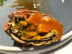 -同庆楼(华强吾悦广场店)