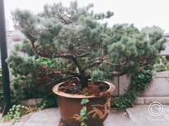 -鸡鸣寺
