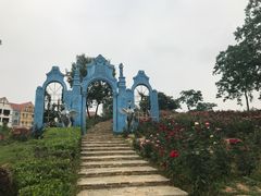 -大塘金香草谷
