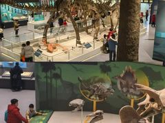 -国家自然博物馆