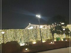 -莫子山公园