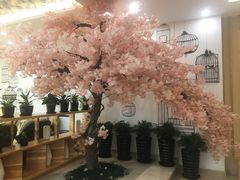 -汤里来温泉