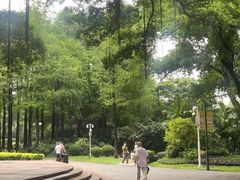 -晓港公园