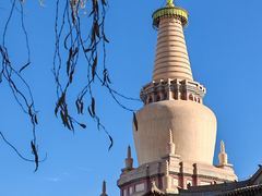 -张掖大佛寺景区