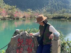 -靖西鹅泉风景区
