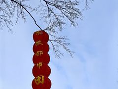 -武汉紫薇都市田园