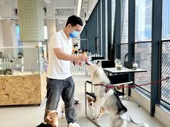 -怪兽屋·羊驼·猫咖·狗咖(俊华广场店)