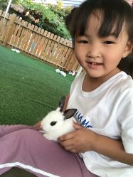 -萌宠亲子动物乐园(槐房万达店)