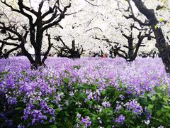-江苏三台山国家森林公园